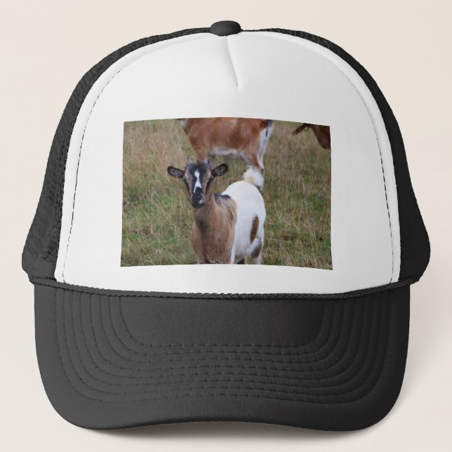 Goat in a field trucker hat (Front)