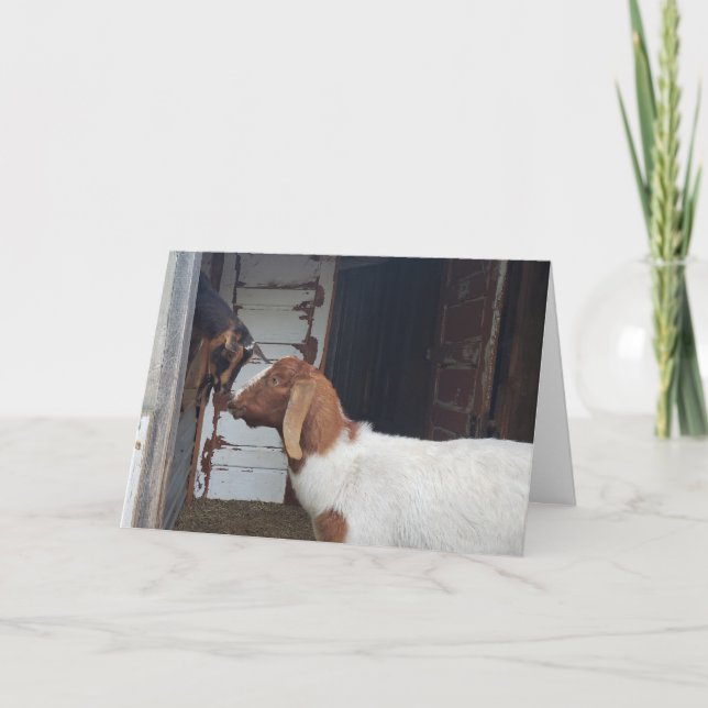 Goat Kisses Personalized Greeting Card (Front)