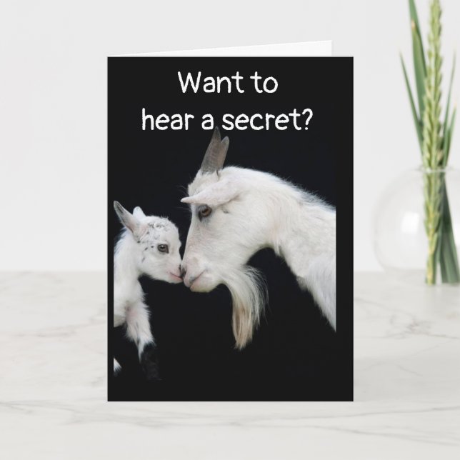 GOAT KNOWS HOW "OLD" YOU ARE "BUT" WON'T SAY CARD (Front)