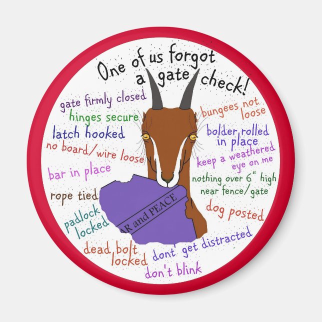 goat lamancha, escape trouble magnet (Front)