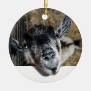 Goat Looking Out Ceramic Tree Decoration