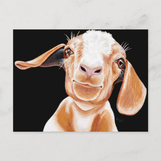 Goat Love Postcard