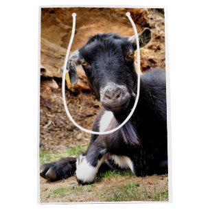 GOAT MEDIUM GIFT BAG