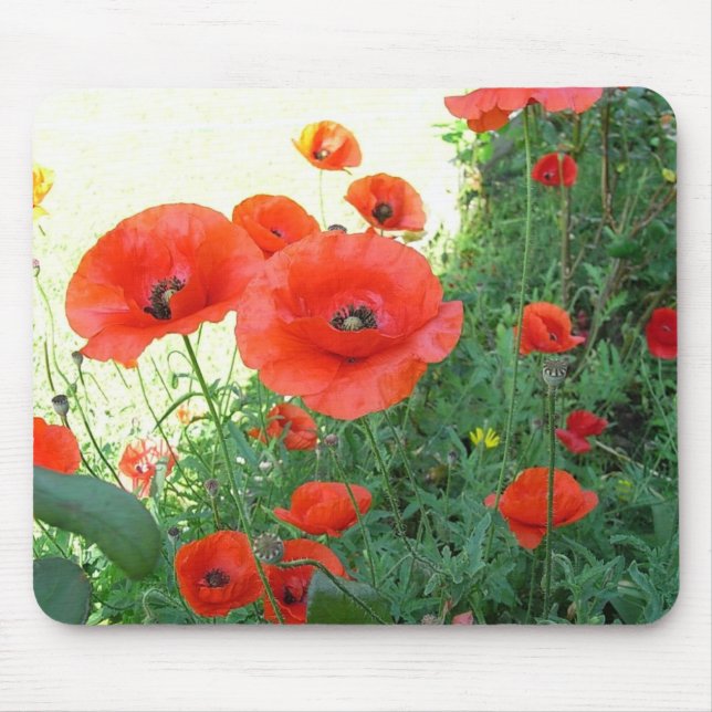 goat mouse mat (Front)