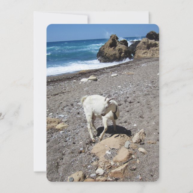 Goat on the Beach Flat Holiday Card (Front)