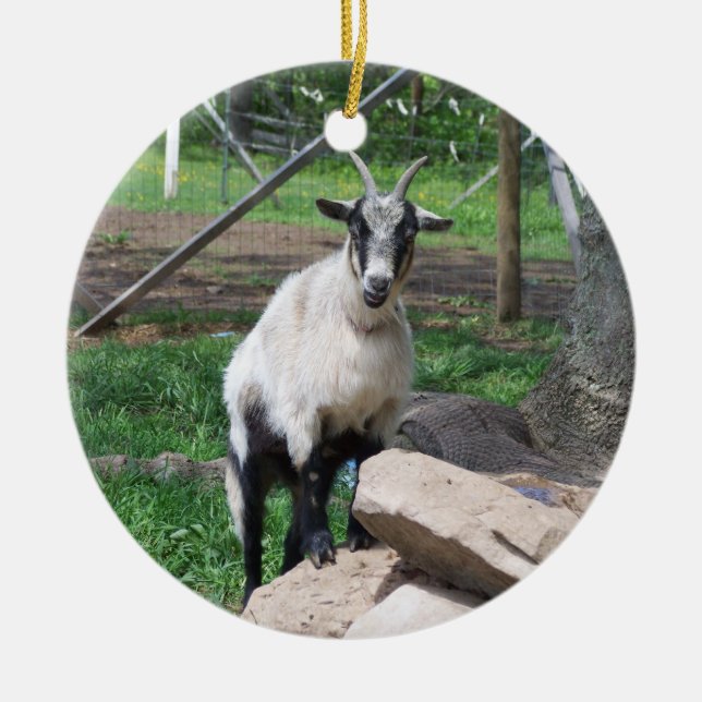 Goat Ornament (Front)