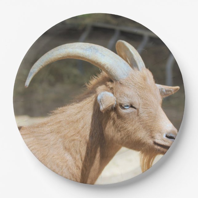 Goat Paper Plate (Front)