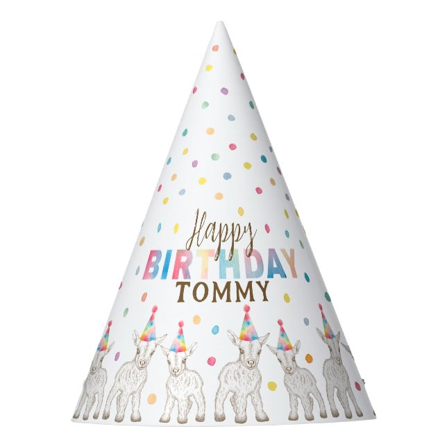 Goat Petting Zoo Birthday Party Hat for Kids (Front)