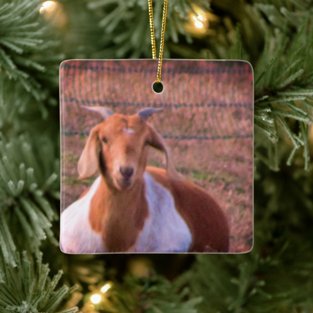 Goat Photo Ceramic Ornament (Tree)