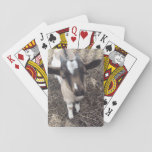 Goat Photo Playing Cards