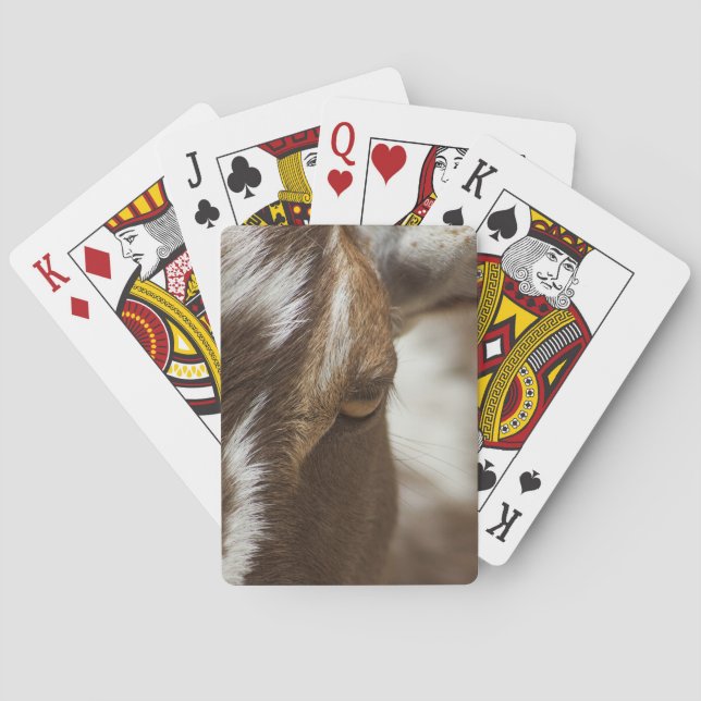 Goat Playing Cards (Back)