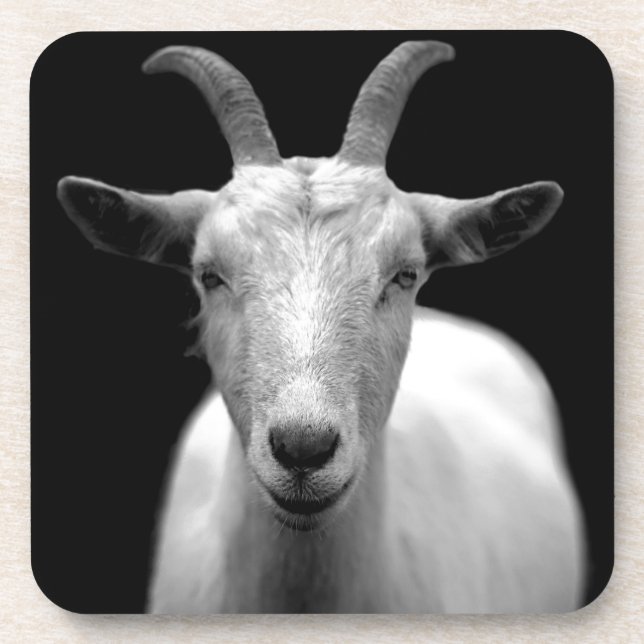 Goat portrait in black and white coaster (Front)
