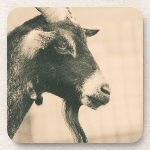 Goat Profile Coaster