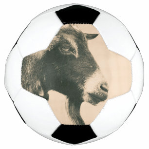 Goat Profile Football