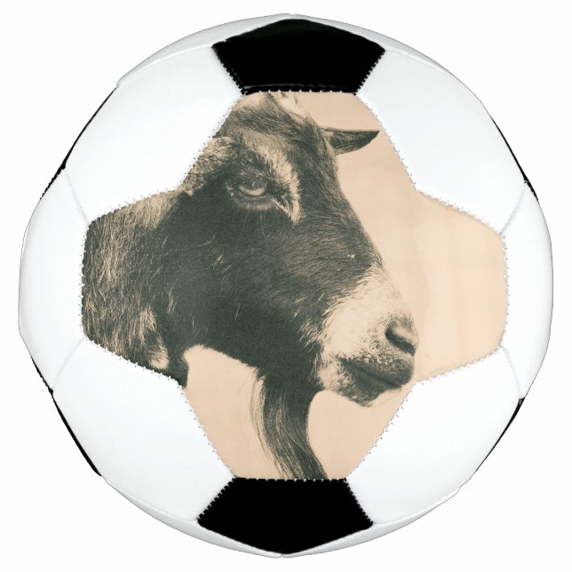 Goat Profile Football (Front)