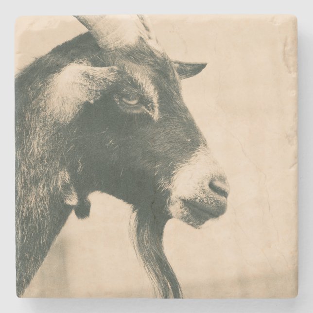 Goat Profile Stone Coaster (Front)
