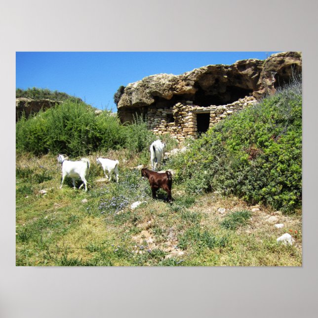 Goat Retreat Poster (Front)