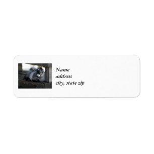 Goat Return Address Labels