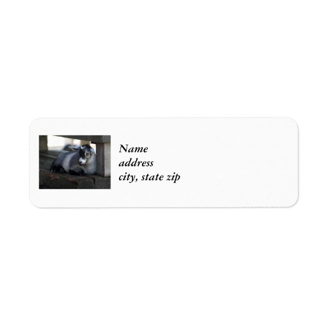 Goat Return Address Labels (Front)