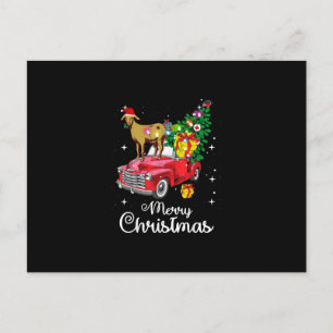 Goat Rides Red Car Christmas Holiday Postcard