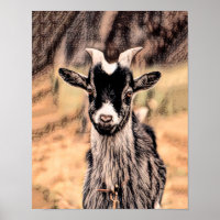 Goat Rustic Vintage Country Farm Animal