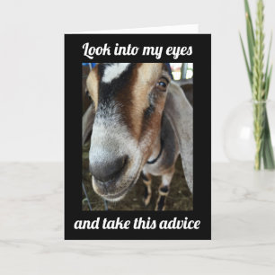 GOAT SAYS "GO OUT AND CELEBRATE **60th** BIRTHDAY Card