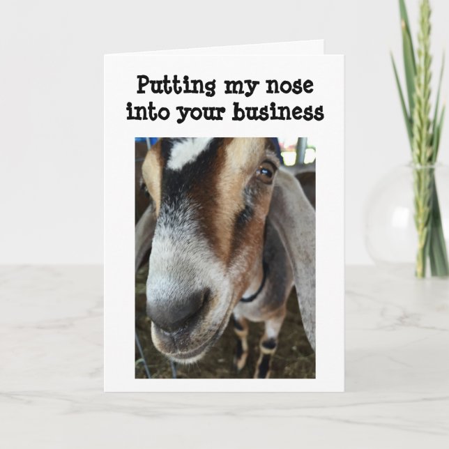 GOAT SAYS HAPPY HOLIDAY TO YOUNG/YOUNG AT HEART (Front)