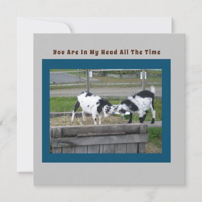 Goat Sense Card (Front)