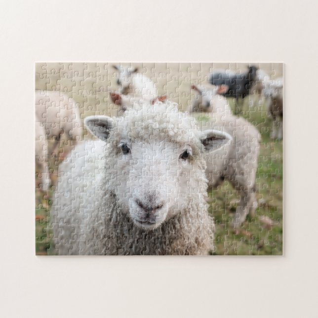 Goat Sheep Wild Life Animals Family Field Nature Jigsaw Puzzle (Horizontal)
