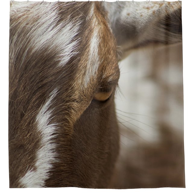 Goat Shower Curtain (Front)