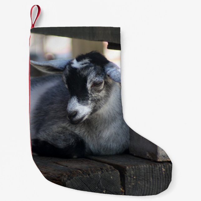 Goat Small Christmas Stocking (Front)