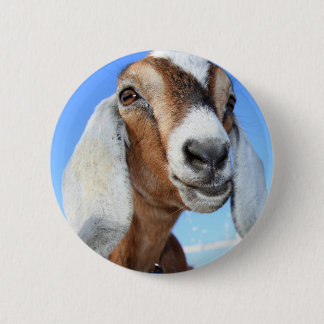 Goat star 1.jpg 6 cm round badge