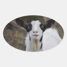 Goat Sticker