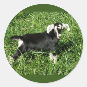 Goat Stickers set of 20