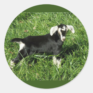 Goat Stickers set of 20