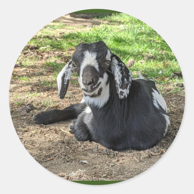 Goat Stickers set of 6 (Front)