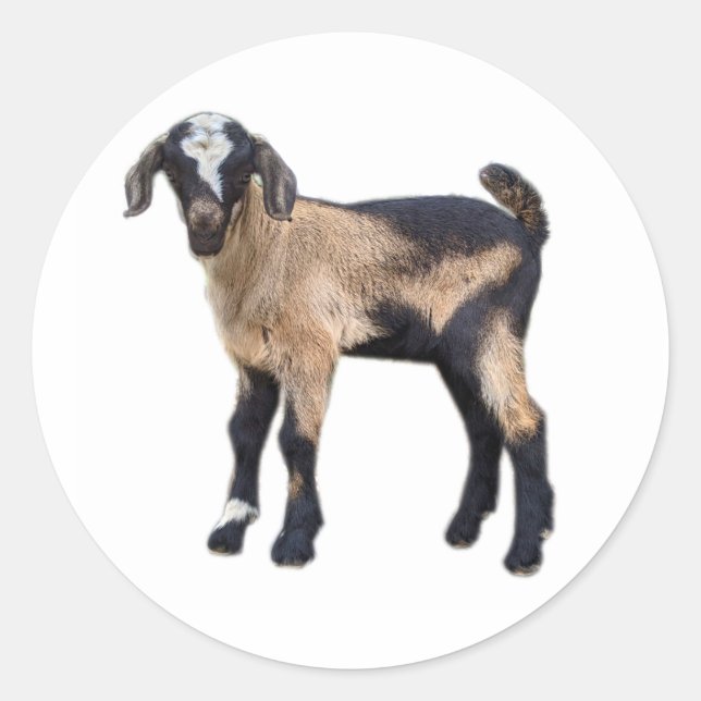 Goat Stickers set of 6 (Front)
