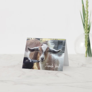 Goat Thank You Card