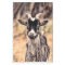 Goat Vintage Country Farm Animal Decoupage
