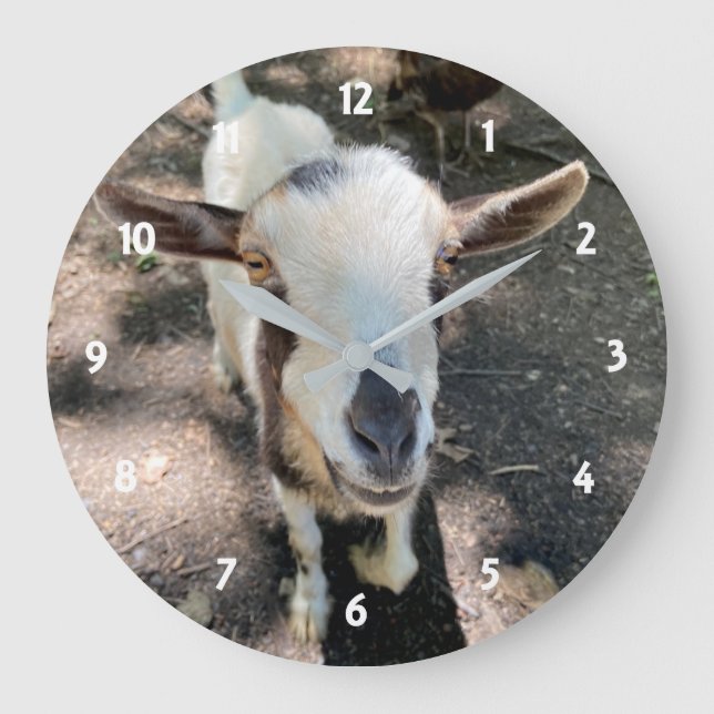 Goat Wall Clock (Front)