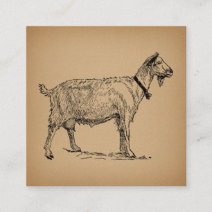 Goat with Bell Illustration Antique Aged Brown Enclosure Card