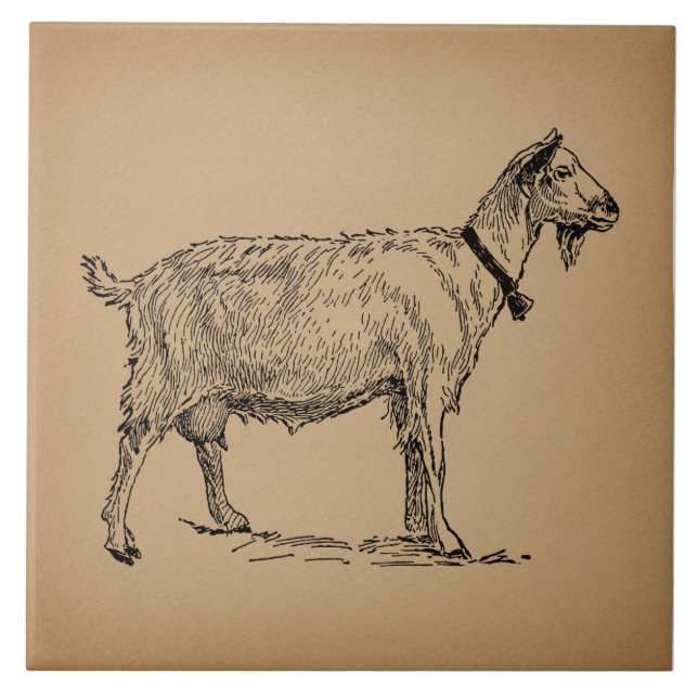 Goat with Bell Illustration Antique Aged Brown Tile (Front)