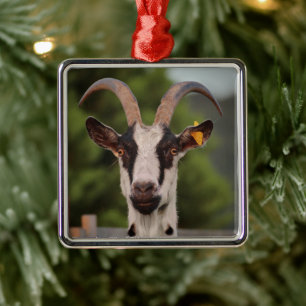 Goat with Horns Standing up against Fence Metal Tree Decoration