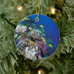 Goatfish Swarm Around Small Coral Ceramic Tree Decoration
