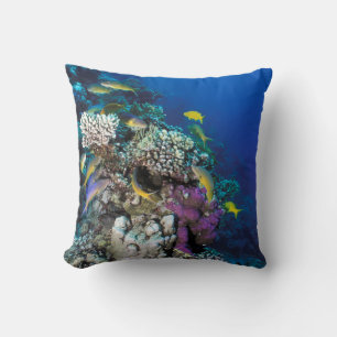 Goatfish Swarm Around Small Coral Cushion