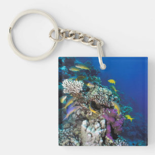 Goatfish Swarm Around Small Coral Key Ring