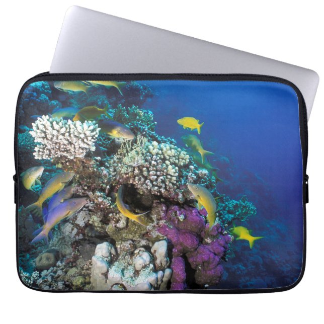 Goatfish Swarm Around Small Coral Laptop Sleeve (Front)