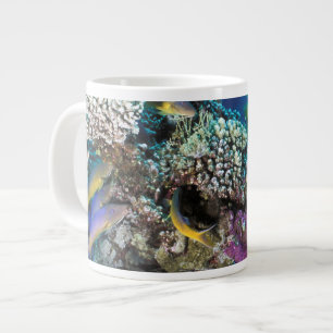 Goatfish Swarm Around Small Coral Large Coffee Mug