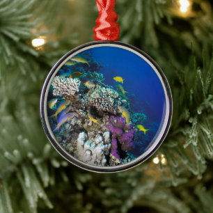 Goatfish Swarm Around Small Coral Metal Tree Decoration