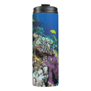 Goatfish Swarm Around Small Coral Thermal Tumbler